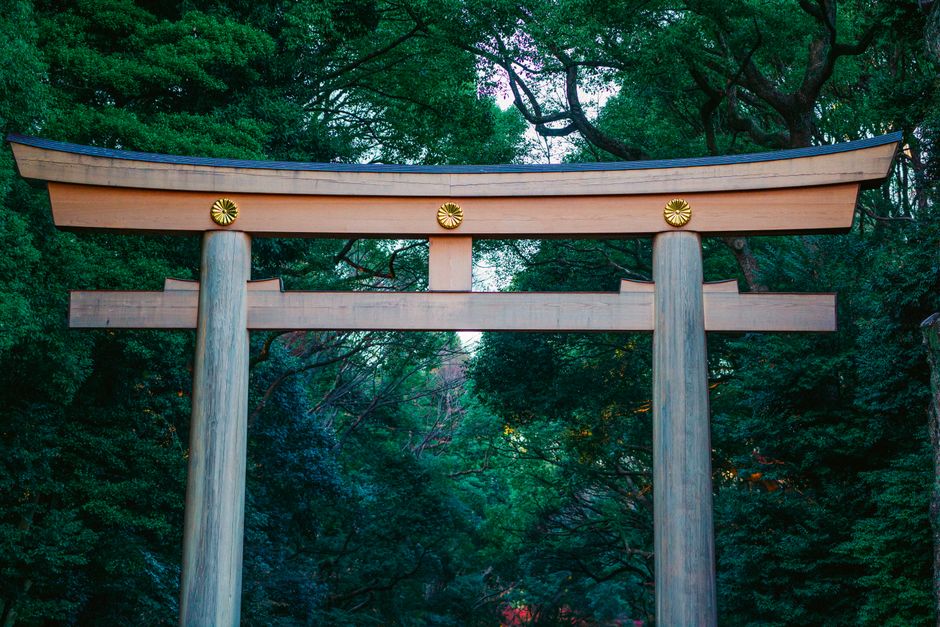 Stunning view of a traditional Torii gate set against lush greenery in Shibuya, Tokyo.